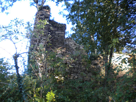 Puech de Bourion 12,5 km 4h00 Départ : route de Lacaune/La Mouline