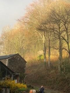 Situé en pleine forêt, au milieu d une châtaigneraie, sans voisins, à l'eau de source, sur un chemin de randonnée, c'est un lieu propice au ressourcement et au tourisme vert.   Le lieu est une très ancienne ferme réhabilitée par nos soins depuis 2018 avec des matériaux respectueux, et un souci de préservation des ressources locales telles que l'eau et le bois. Il permet d accueillir jusqu'à 14 personnes. https://hrvroy.wixsite.com/coeurdeforet