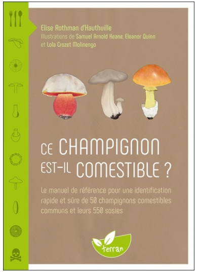 Champignons
