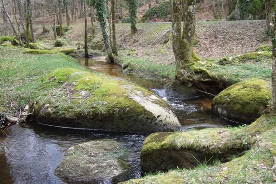 Ruisseau aux rochers